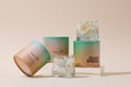 Cactus + Aloe Candle No. 6