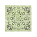 Blue Green Accessories Frog Scarf