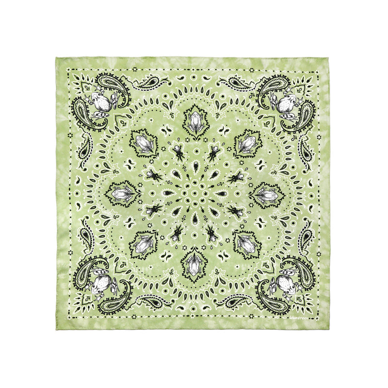 Blue Green Accessories Frog Scarf