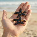 Star Fish Small Hair Clip