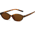 Sunglasses with tortoiseshell frame and brown lenses on a white background