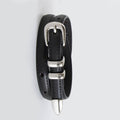 Black leather collar with silver buckles and spike on a light gray background