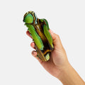 Hand holding a green and brown textured object against a white background