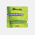 Two caterpillar-themed plastic slides on a bright green leaf-shaped backing card labeled 'Chunks' and 'SLIDES'.